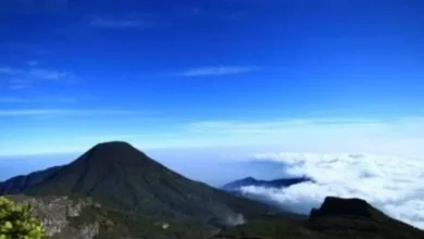Aktivitas Gunung Gede meningkat tajam dengan 21 gempa Vulkanik Dalam pada 1 April 2024.